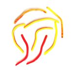 طعمه کرم مصنوعی ژاپنی برند SEA HORSE - Image 2