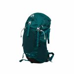 کوله پشتی کوهنوردی 40 لیتری بلک آرال مدل Black Aral 145502 - تصویر 3